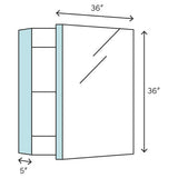 Fresca Spazio 30-in x 36-in Lighted LED Fog Free Surface/Recessed Mount LED Lighting Mirror Mirrored Soft Close Medicine Cabinet with Outlet