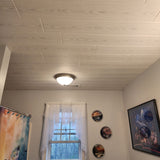A La Maison Ceilings 3.25-ft x 0.5-ft Country White Polystyrene Surface-mount Ceiling Plank (12-Pack, 19.5-sq ft / Case)