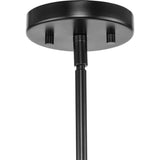 Progress Lighting Arya 12-Light Matte Black Modern/Contemporary Chandelier