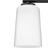 Progress Lighting Adley 3-Light Matte Black Transitional Chandelier