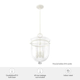 Hunter Belltown 4-Light Rustic White Transitional Clear Glass Urn LED Medium Hanging Pendant Light