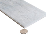 Apollo Tile (Sample) Gray 4-in x 12-in Natural Porcelain Stone Look Wall Tile