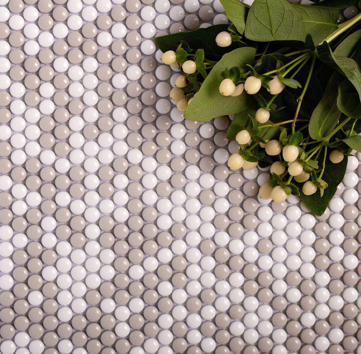 Apollo Tile (Sample) Alabaster White, Beige 12-in x 13-in Polished Glass Penny Round Patterned Floor and Wall Tile