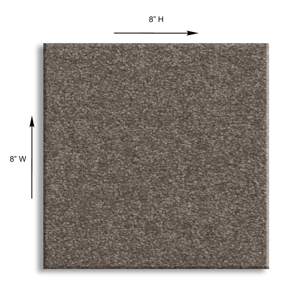 STAINMASTER Essentials Blue Diamonds III 8-in x 8-in Pewter Gray Polyester Textured Indoor Carpet Sample