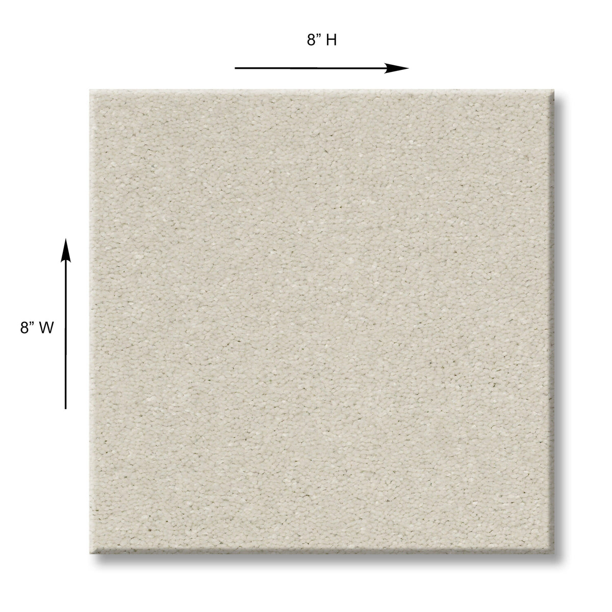 STAINMASTER Essentials Blue Diamonds II Minimalist 12-ft Textured Carpet Sample, 8-in x 8-in (Interior)