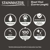 STAINMASTER (Sample) Midtown Slate Waterproof Marble-Look Glue-Down Sheet Vinyl Flooring Sample