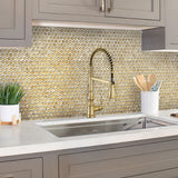 Apollo Tile Gold 12-in x 12-in Glossy Glass Penny Round Stone Look Wall Tile (10.34-sq. ft/ Carton)