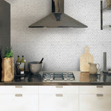 Apollo Tile (Sample) White 4-in x 4-in Honed Marble Penny Round Mosaic Floor and Wall Tile