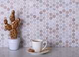 Apollo Tile (Sample) Floor and Wall Tile Gray and Beige 4-in x 4-in Polished Marble Floor and Wall Tile