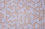 Apollo Tile (Sample) Floor and Wall Tile Gray and Beige 4-in x 4-in Polished Marble Floor and Wall Tile