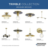 Progress Lighting Trimble 2-Light Brushed Nickel Industrial Chandelier