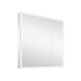 WELLFOR ELIN 30-in x 30-in Lighted LED Fog Free Surface/Recessed Mount Silver Mirrored Soft Close Medicine Cabinet with Outlet