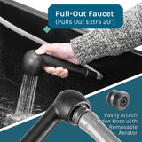 Cambridge Resources 23.5-in Black Wall Mount Utility Tub with Faucet