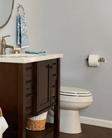 Project Source Seton Chrome Replacement Roller Toilet Paper Holder, 6-in x 1-in