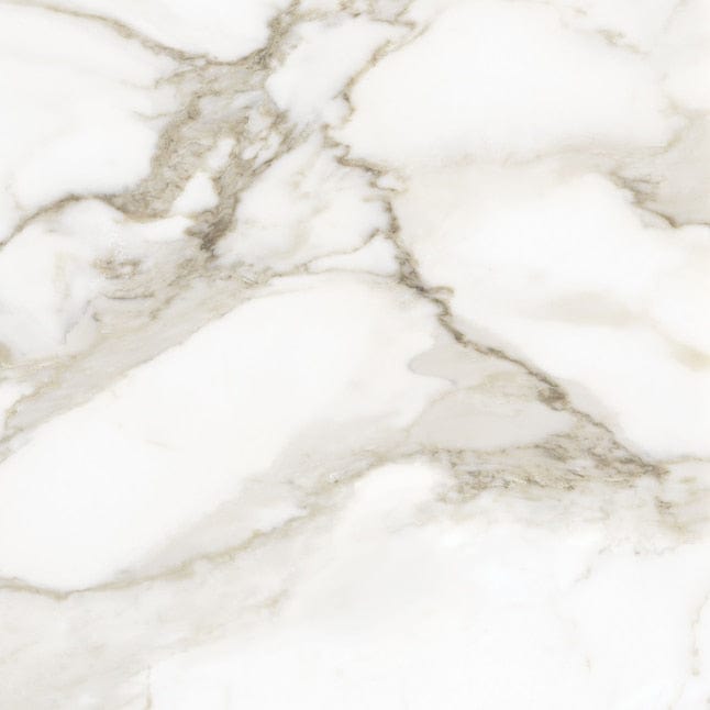 Anatolia La Marca Cala Paonazzo 24-in x 24-in Polished Porcelain Marble Look Floor and Wall Tile (15.5-sq. ft/ Carton)