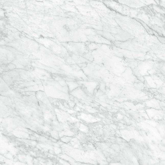 Anatolia La Marca Carrara Gioia 24-in x 24-in Honed Porcelain Marble Look Floor and Wall Tile (15.5-sq. ft/ Carton)