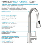 Transolid Brushed Satin Freestanding Laundry Sink with Dual-Spray Faucet