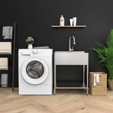 Transolid Brushed Satin Freestanding Laundry Sink with Dual-Spray Faucet