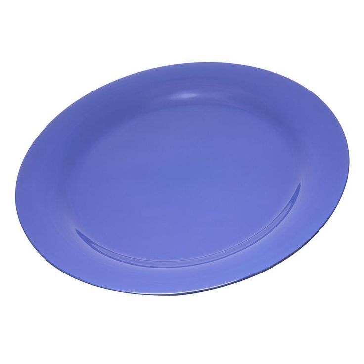 Durus 10.5 in. White Melamine Wide Rim Dinner Plate (12-Pack)
