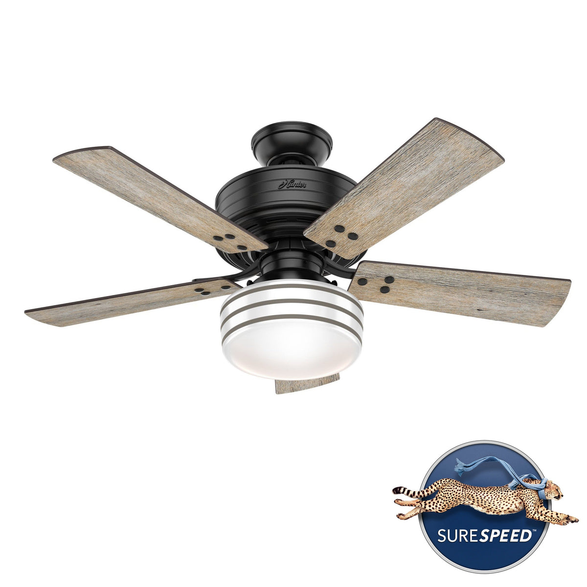 Hunter Cedar Key 44-in Matte Black LED Indoor/Outdoor Ceiling Fan with Remote (5-Blade)