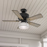Hunter Cedar Key 44-in Matte Black LED Indoor/Outdoor Ceiling Fan with Remote (5-Blade)