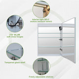 Forclover 20-in x 30-in Lighted LED Fog Free Surface/Recessed Mount Silver Mirrored Soft Close Medicine Cabinet with Outlet