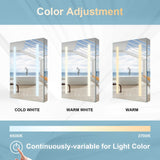 Forclover 20-in x 30-in Lighted LED Fog Free Surface/Recessed Mount Silver Mirrored Soft Close Medicine Cabinet with Outlet