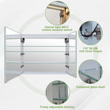 Forclover 30-in x 30-in Lighted LED Fog Free Surface/Recessed Mount Silver Mirrored Soft Close Medicine Cabinet with Outlet