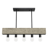 Hunter Donelson 5-Light Satin Black RusticBare Bulb Chandelier