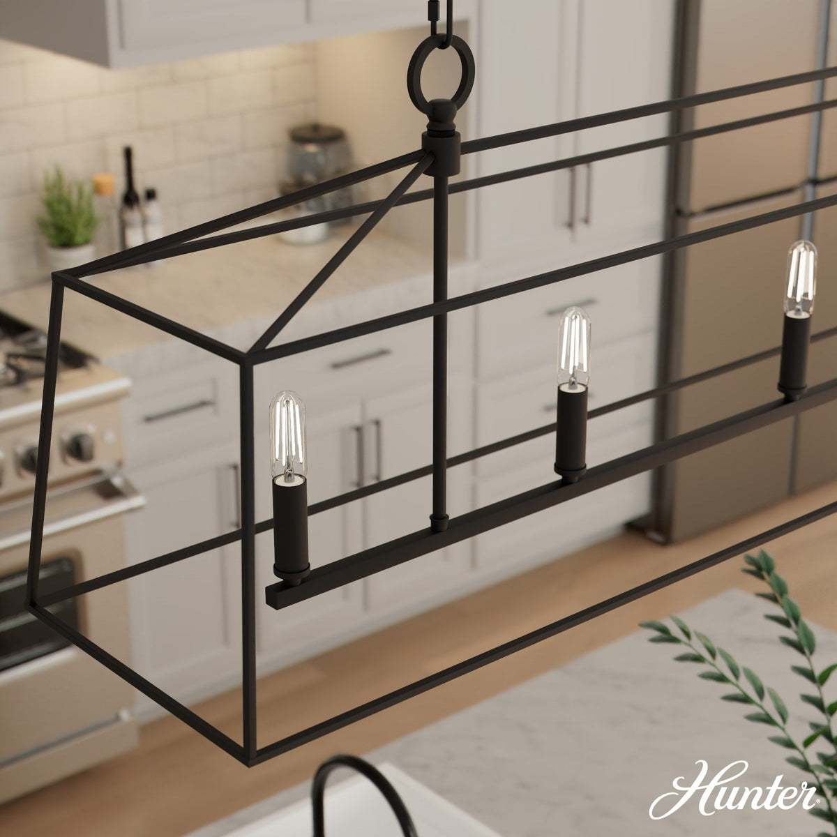 Hunter Fair Oaks 4-Light Matte Black TransitionalCage Chandelier
