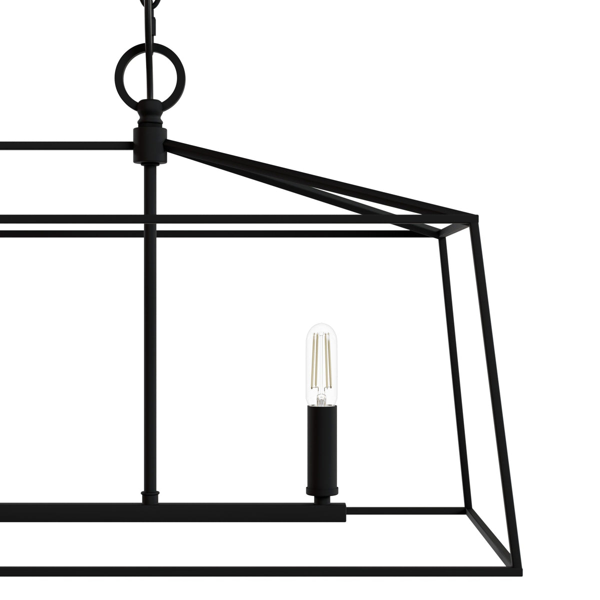 Hunter Fair Oaks 4-Light Matte Black TransitionalCage Chandelier