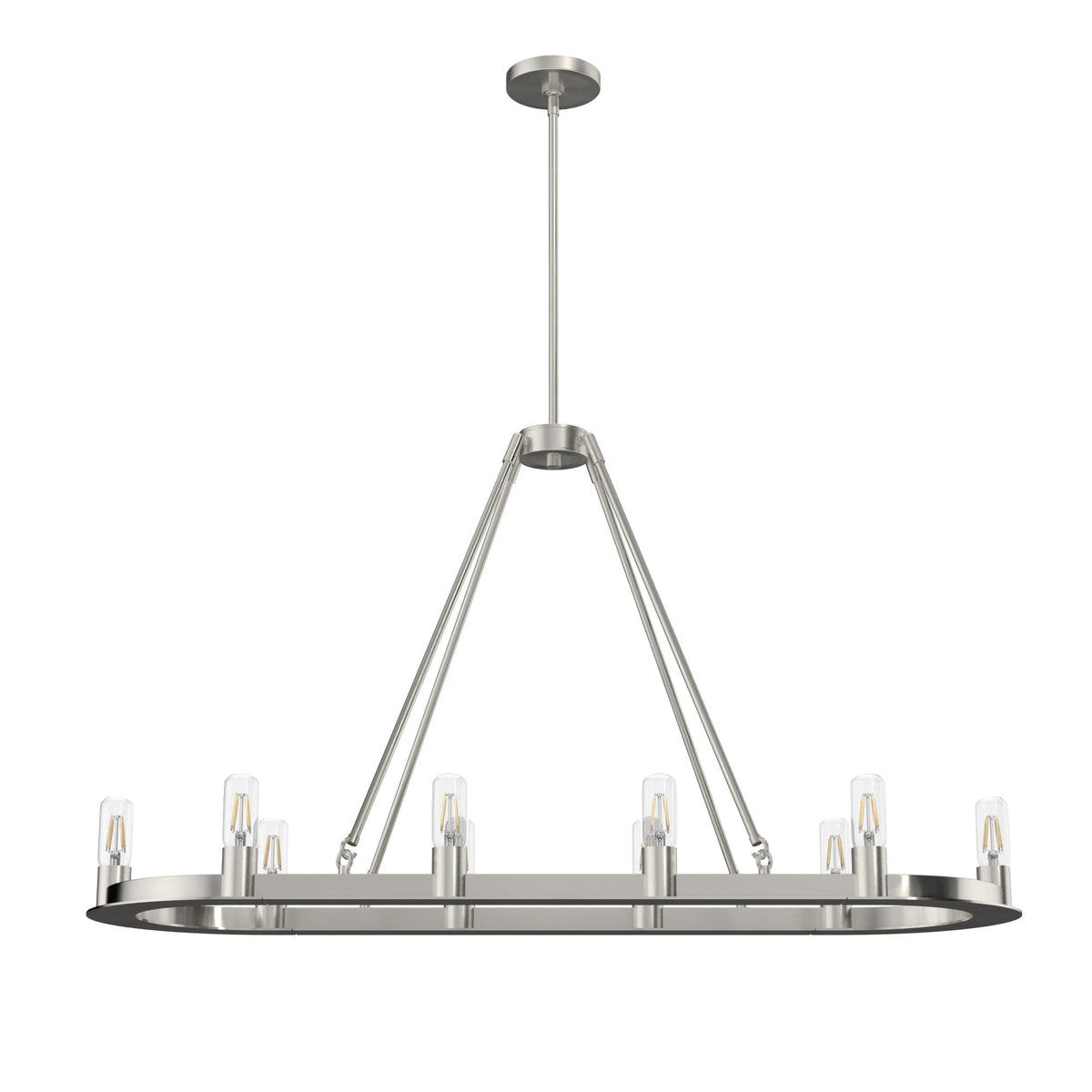 Hunter Saddlewood 10-Light Brushed Nickel Transitional Led Bare Bulb Chandelier