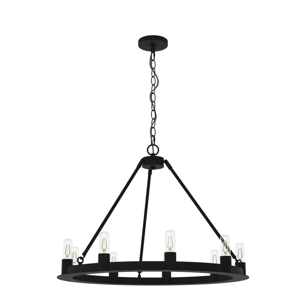 Hunter Saddlewood 9-Light Matte Black Transitional Led Chandelier