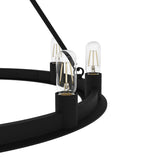 Hunter Saddlewood 9-Light Matte Black Transitional Led Chandelier