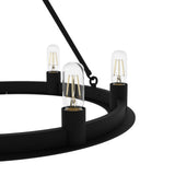 Hunter Saddlewood 6-Light Matte Black Transitional Led Chandelier
