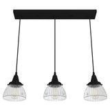 Hunter Cypress Grove 3-Light Natural Iron Transitional Clear Glass Linear LED Mini Hanging