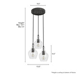 Hunter Maple Park 3-Light Noble Bronze Transitional Clear Glass LED Small Hanging