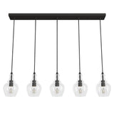 Hunter Maple Park 5-Light Noble Bronze Transitional Clear Glass Linear LED Large Hanging