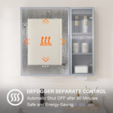 WELLFOR FLORA Solid Wood 30-in x 28-in Lighted LED Surface Mount Gray Mirrored Soft Close Medicine Cabinet