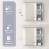 WELLFOR FLORA Solid Wood 30-in x 28-in Lighted LED Surface Mount Gray Mirrored Soft Close Medicine Cabinet