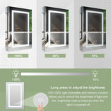 Forclover 20-in x 30-in Lighted LED Fog Free Surface/Recessed Mount Silver Soft Close Medicine Cabinet with Outlet