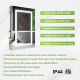 Forclover 20-in x 30-in Lighted LED Fog Free Surface/Recessed Mount Silver Soft Close Medicine Cabinet with Outlet