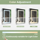 Forclover 20-in x 30-in Lighted LED Fog Free Surface/Recessed Mount Silver Soft Close Medicine Cabinet with Outlet