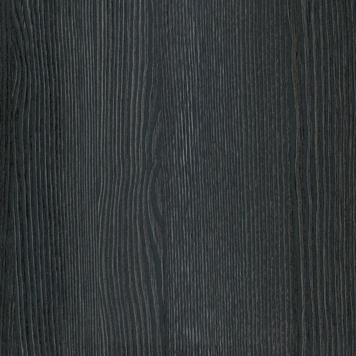 Hailey Home Brighton Charcoal Gray 2-Shelf Office Cabinet