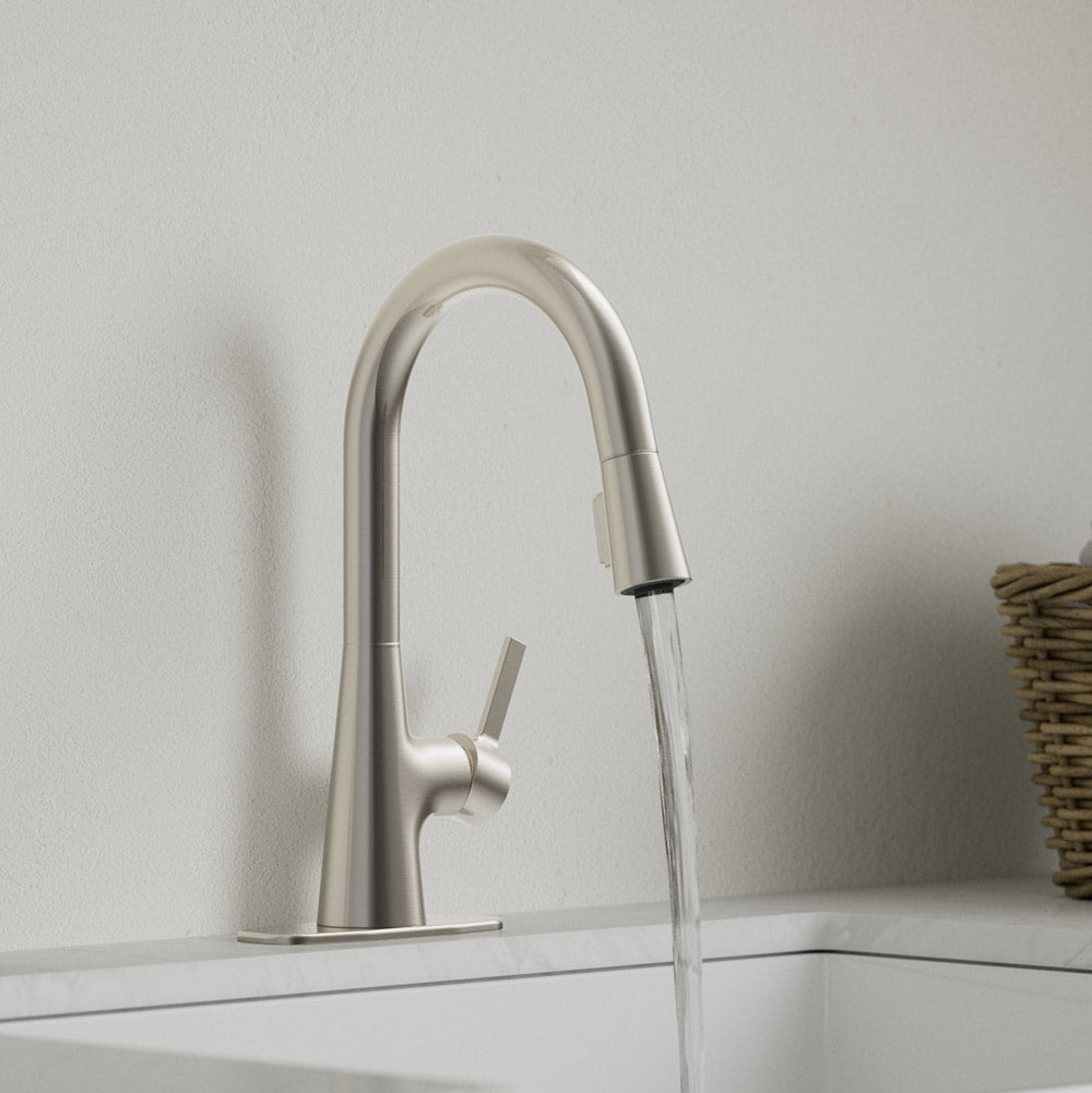 allen + roth Gillen Stainless Utility Faucet with Pulldown Sprayer