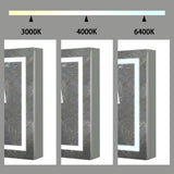 Forclover 24-in x 30-in Lighted LED Fog Free Surface/Recessed Mount Silver Mirrored Medicine Cabinet