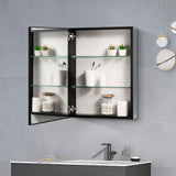 Forclover MA 20-in x 26-in Surface Mount Silver and Black Mirrored Soft Close Medicine Cabinet
