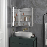 Forclover 20-in x 26-in Lighted LED Fog Free Surface/Recessed Mount Silver Mirrored Medicine Cabinet with Outlet