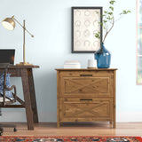 Saint Birch Houstin Rustic Brown 2-Drawer 30-in File Cabinet