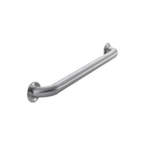 Project Source Exposed Screw 24-in Stainless Steel Wall Mount ADA-Compliant Grab Bar, 500-lb Capacity